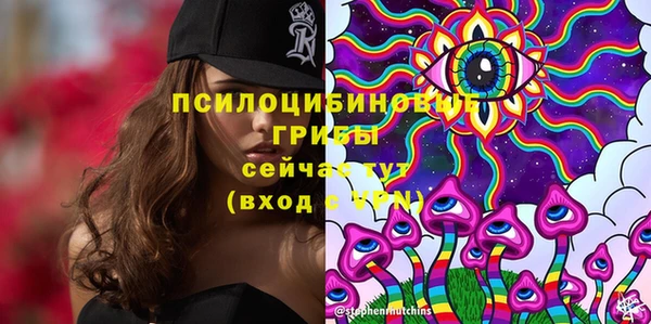 не бодяженный Арсеньев